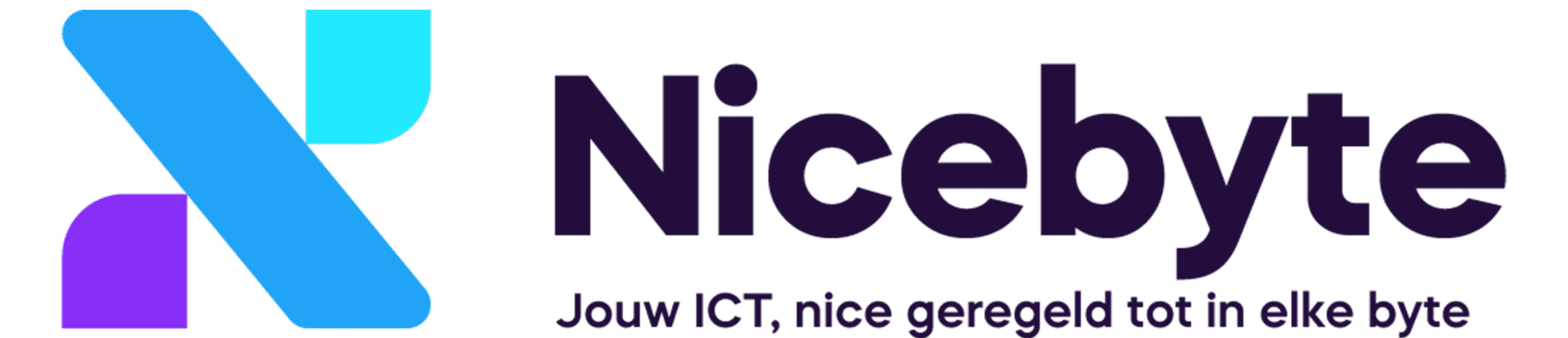Nicebyte